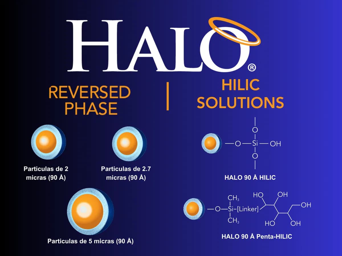 HALO · 2