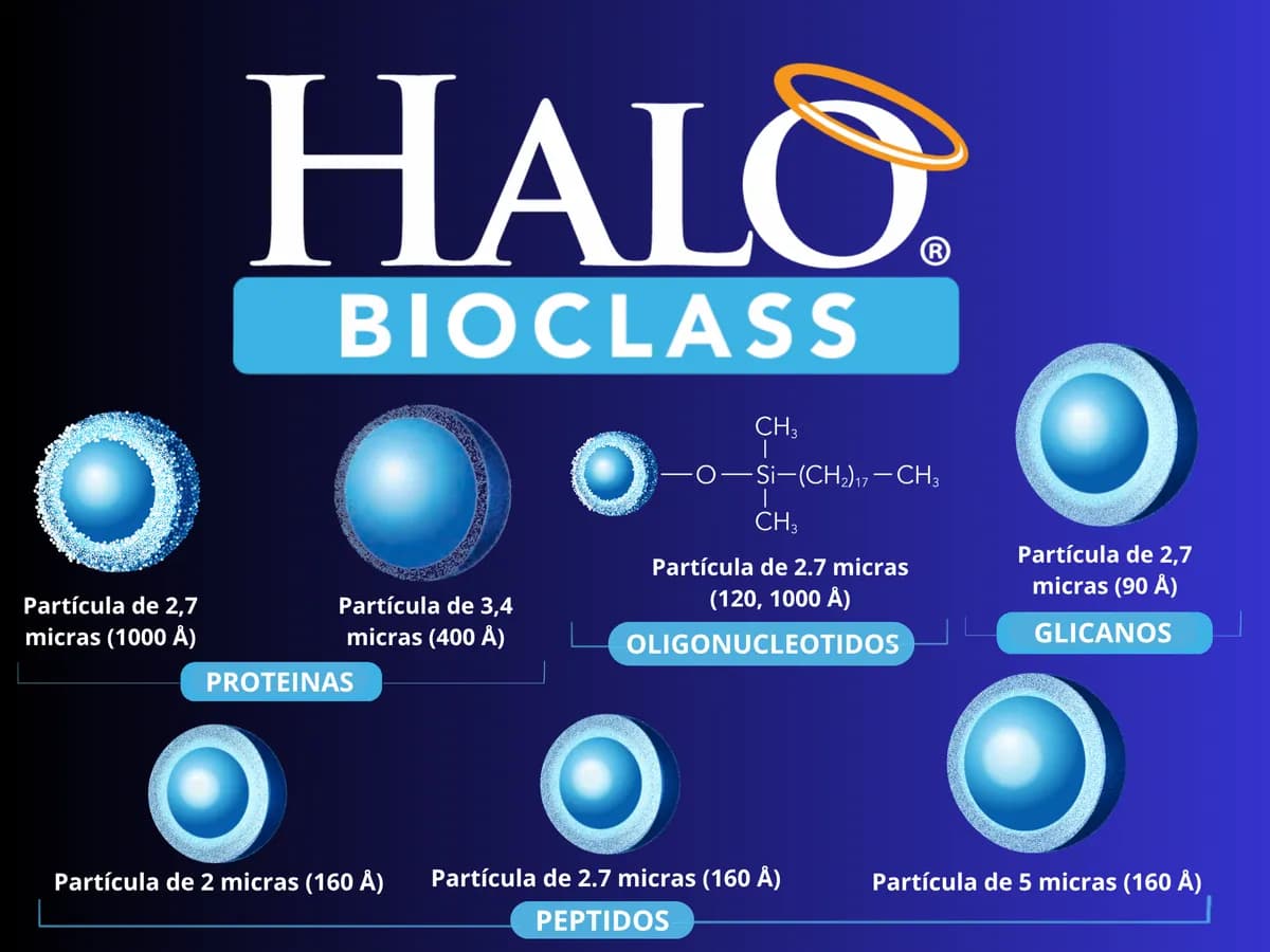 HALO · 3