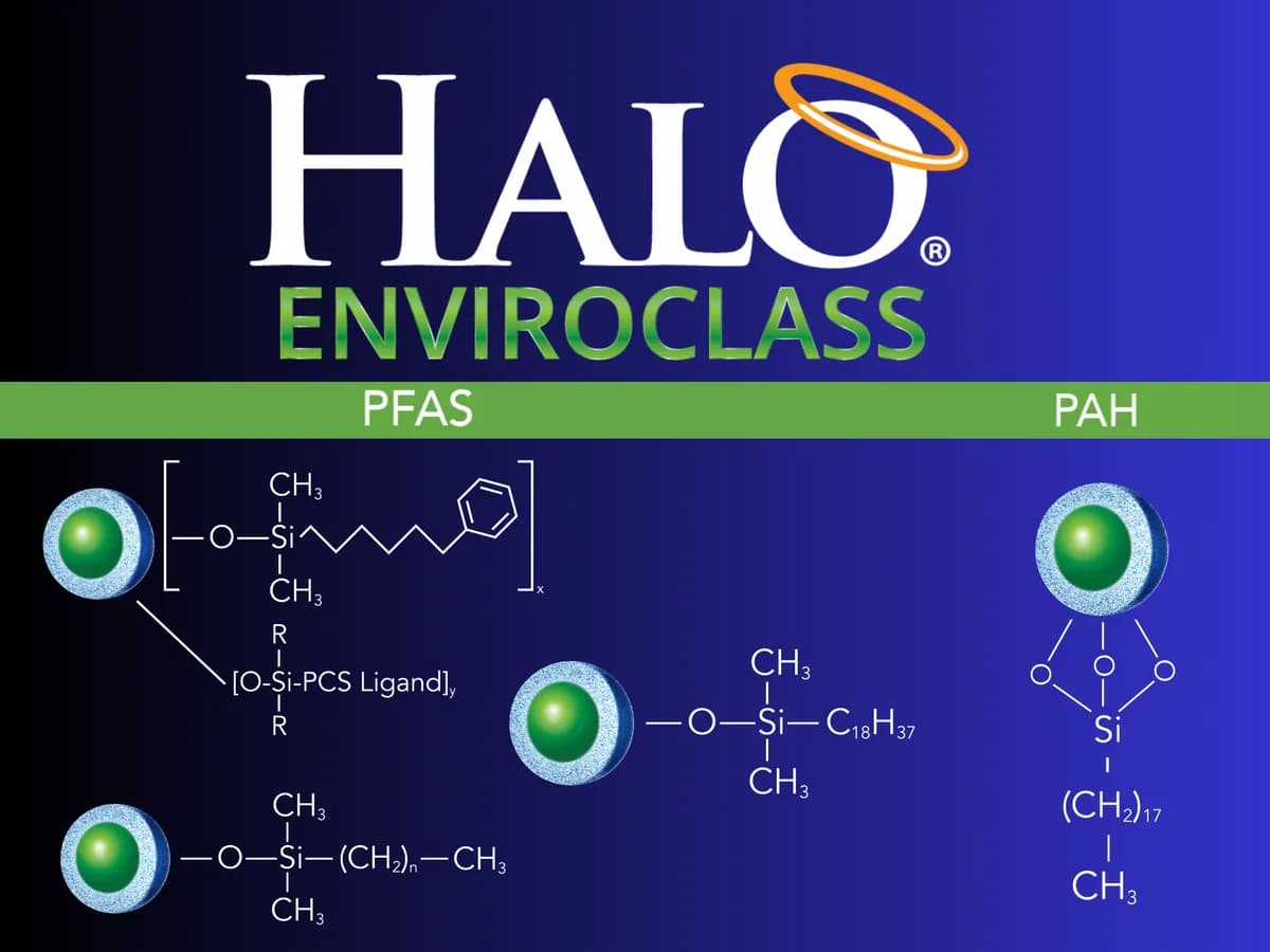 HALO · 4